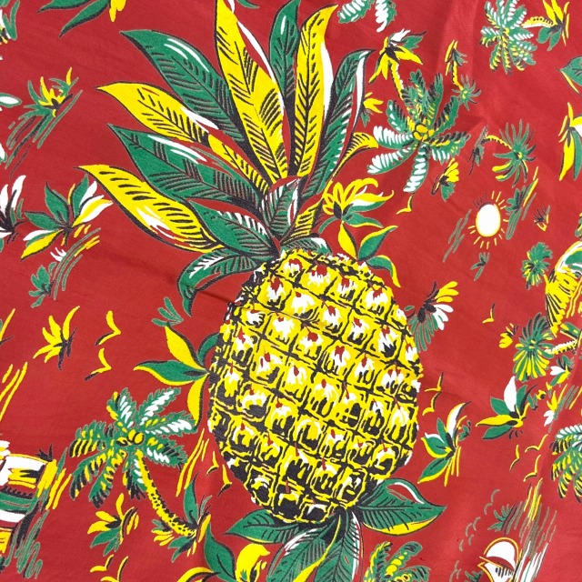 ★Hawaiian自然素材アルバム激レア★ Amazon.co.jp: Amazing Hawaiian~30 BEST Songs with Aloh