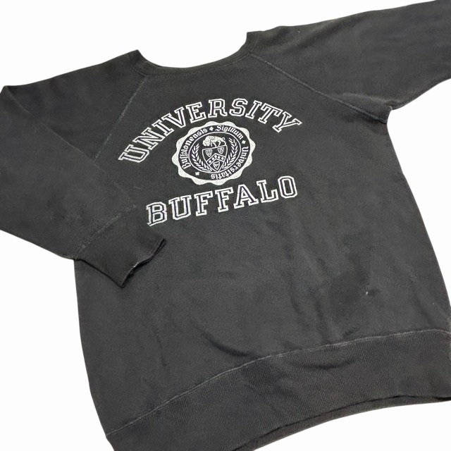 珍品　1960s vintage sweat フロッキープリント　袖二重ライン 珍品 1960s vintage sweat フロッキープリント 袖二重ライン