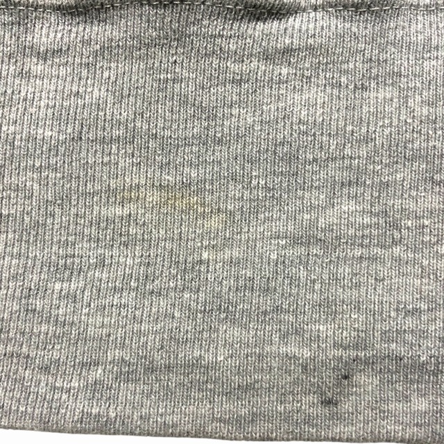 CHAMPION REVERSE WEAVE 70S 「単色タグ、U OF C ステンシル、L